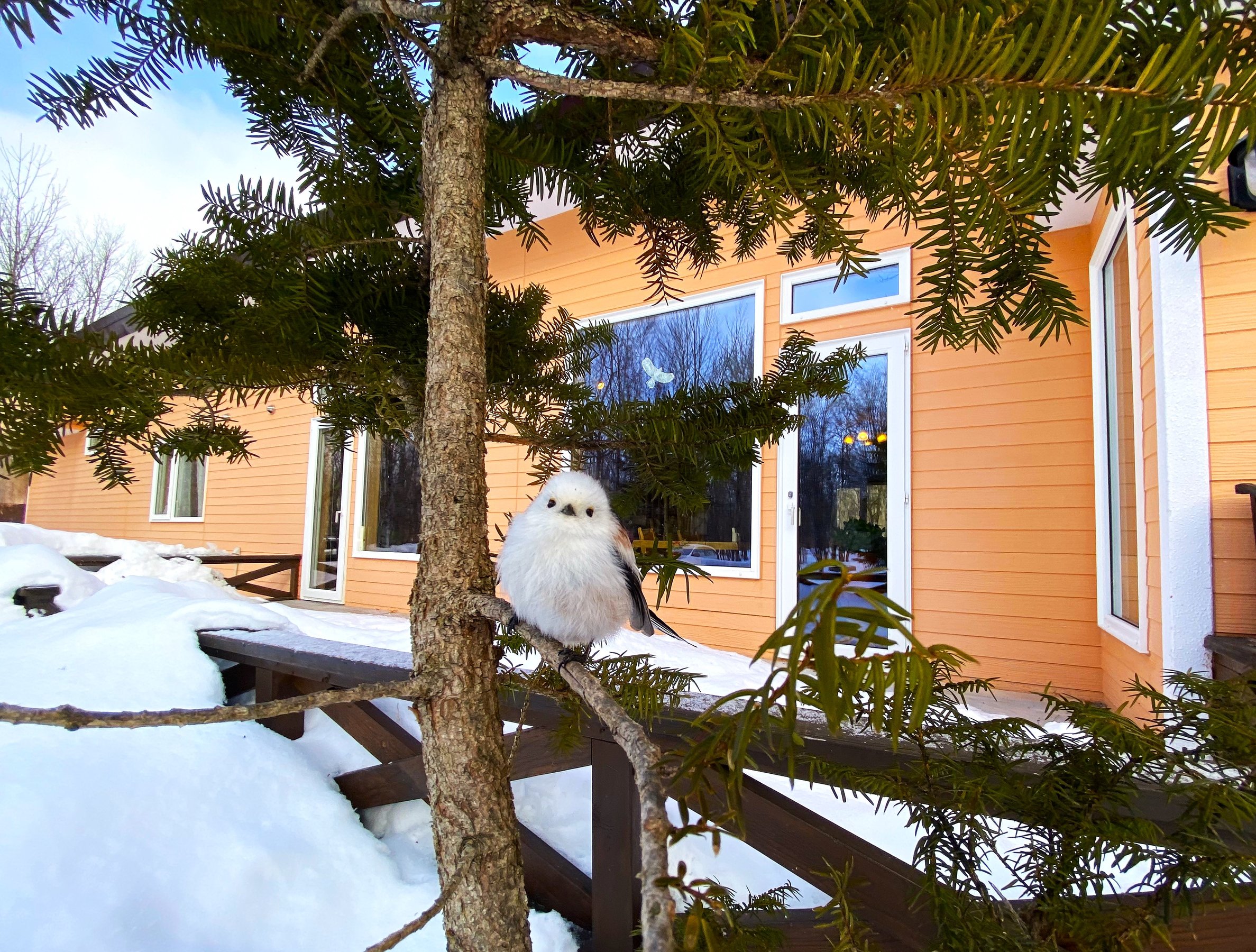 【弟子屈】きらの宿すばる